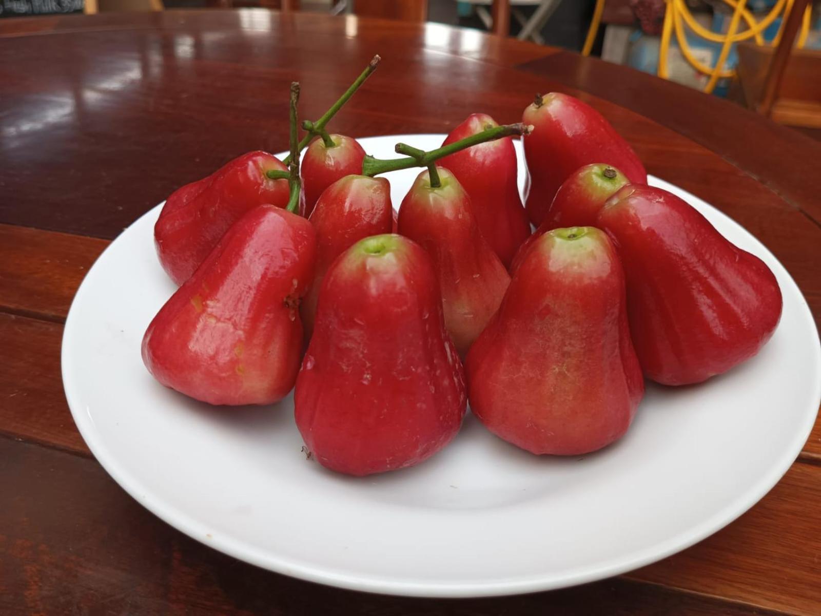 Song Lao Guesthouse Thakhek Zewnętrze zdjęcie